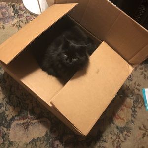 Meet your Posher, Marie